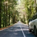A white SUV parked on a quiet, tree-lined forest road with sunlight filtering through the leaves, creating a peaceful and natural setting.