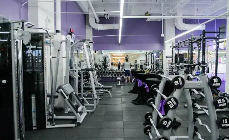 Gym interior with various weight machines, free weights, and workout stations in a well-lit, modern fitness facility.