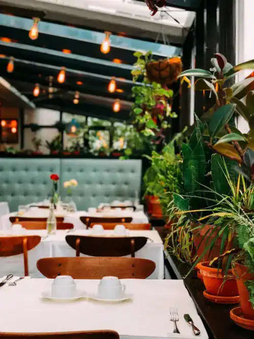 A bright indoor restaurant featuring lush green plants, hanging lights, and neatly set tables with white tablecloths, creating a welcoming and fresh dining atmosphere.